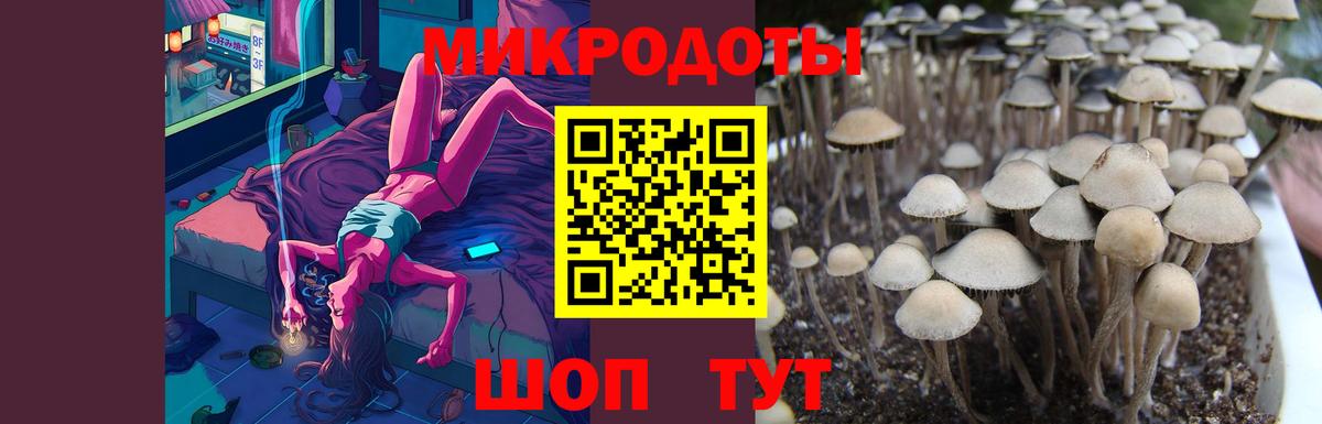 Уссурийск  Псилоцибиновые грибы Psilocybine cubensis  купить наркотики цена  Вход с VPN 